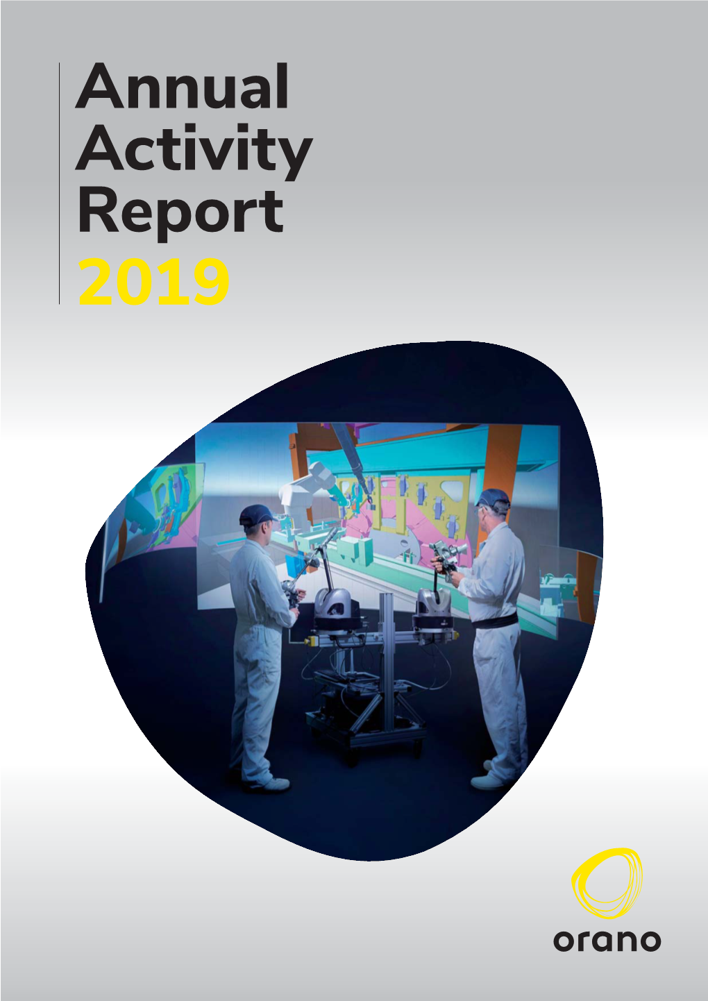 Annual Activity Report 2019 Summary
