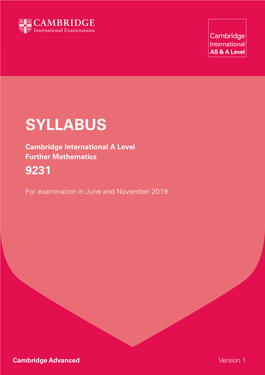 329490-2019-Syllabus.Pdf