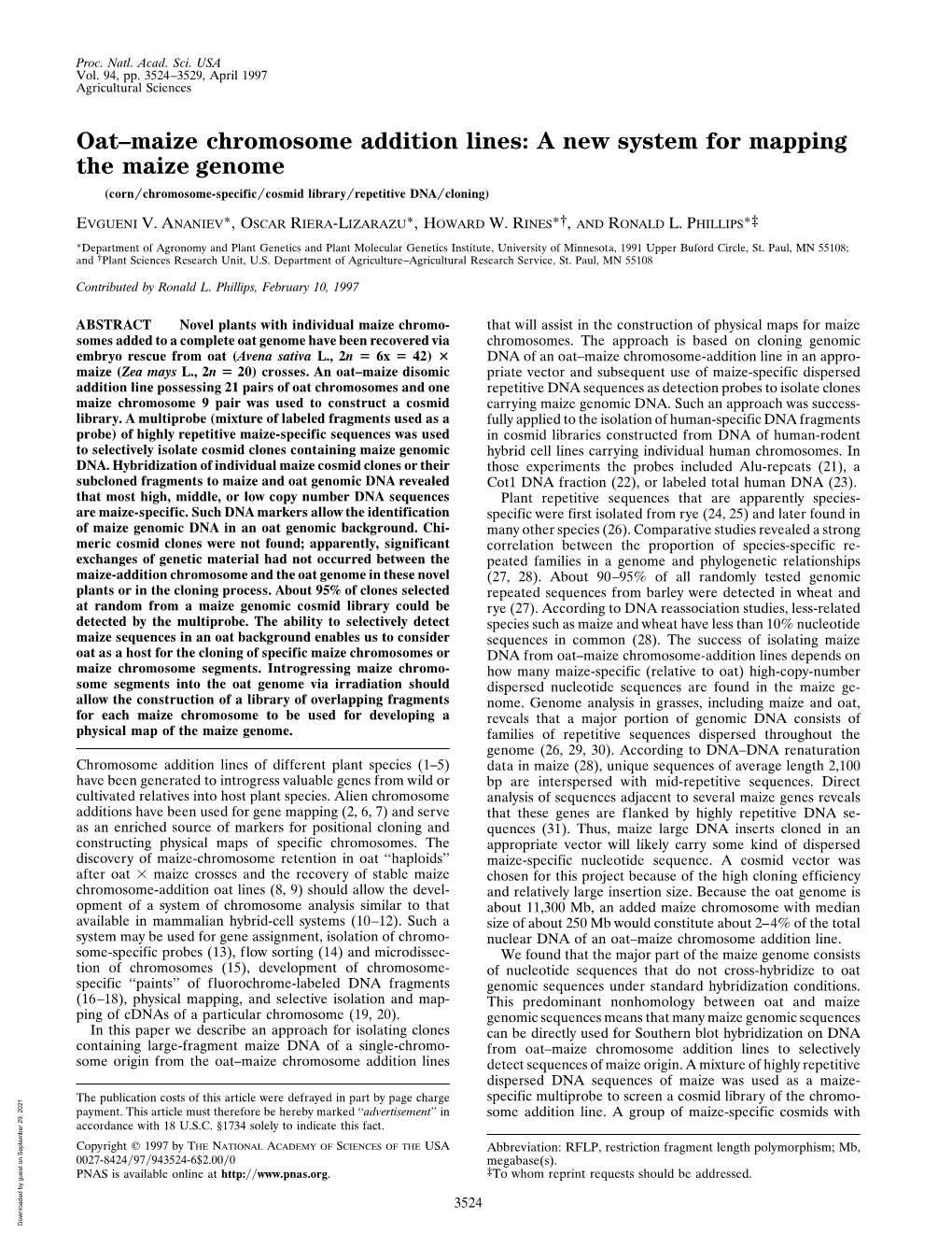 Oat–Maize Chromosome Addition Lines: a New System for Mapping the Maize Genome (Corn͞chromosome-Specific͞cosmid Library͞repetitive Dna͞cloning)