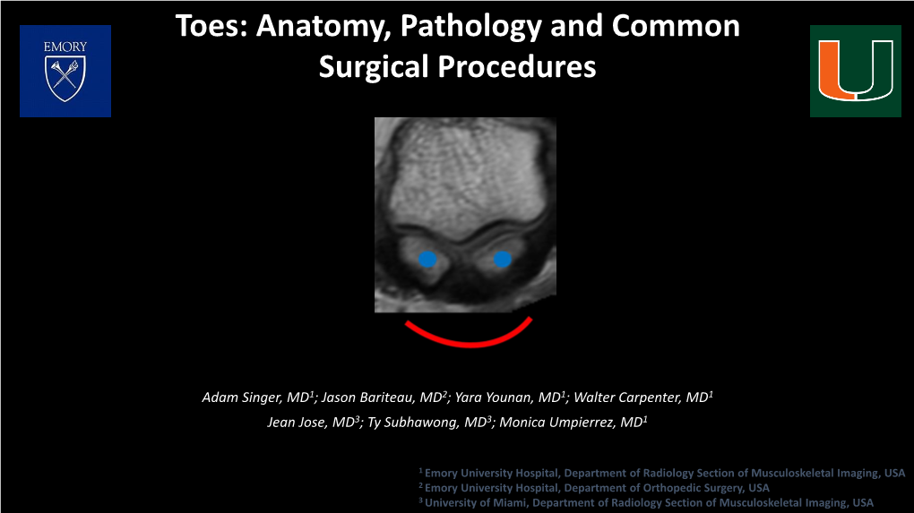 Toes: Anatomy, Pathology and Common Surgical Procedures