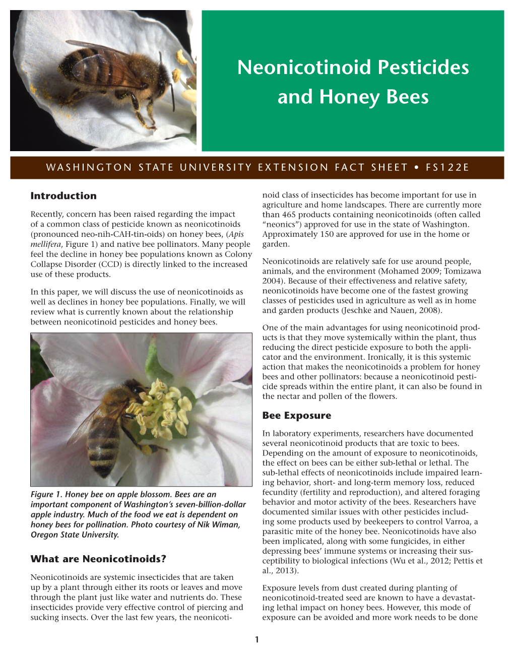 Neonicotinoid Pesticides and Honey Bees