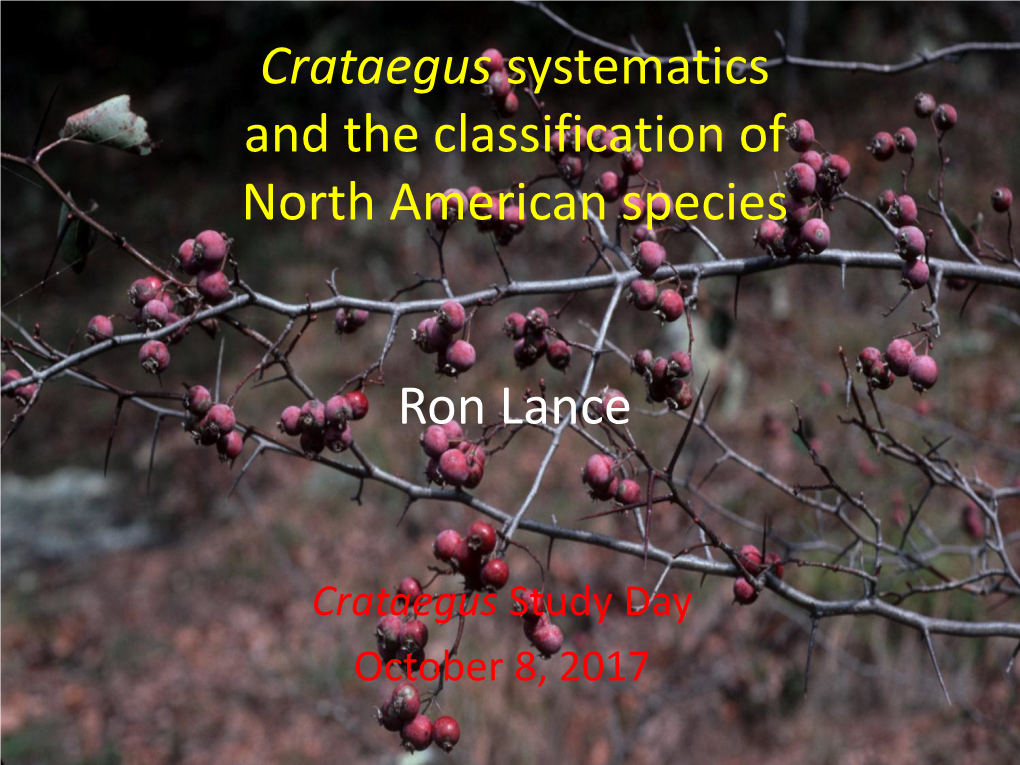 Hawthorn (Crataegus) Ecology and Utility in the Southeastern U.S. Ron