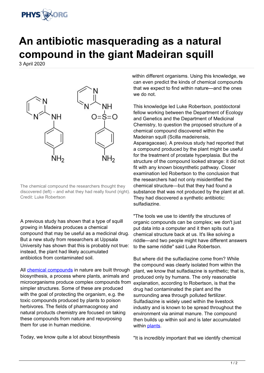 An Antibiotic Masquerading As a Natural Compound in the Giant Madeiran Squill 3 April 2020