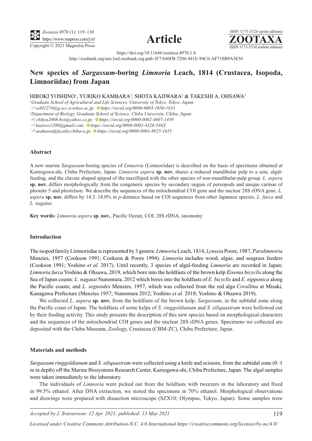 New Species of Sargassum-Boring Limnoria Leach, 1814 (Crustacea, Isopoda, Limnoriidae) from Japan