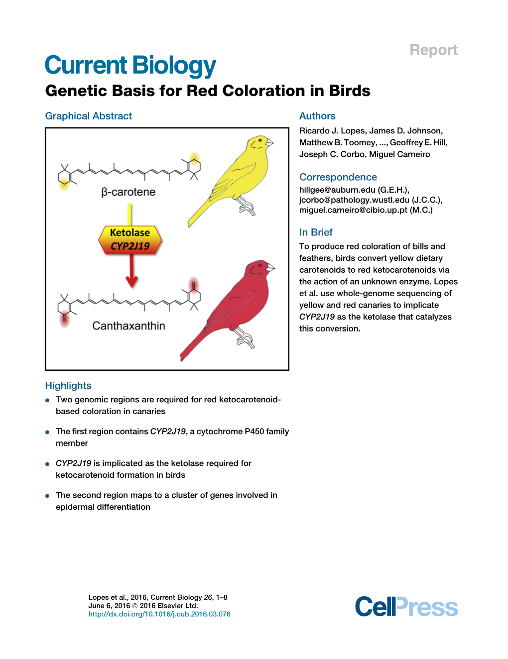 Genetic Basis for Red Coloration in Birds