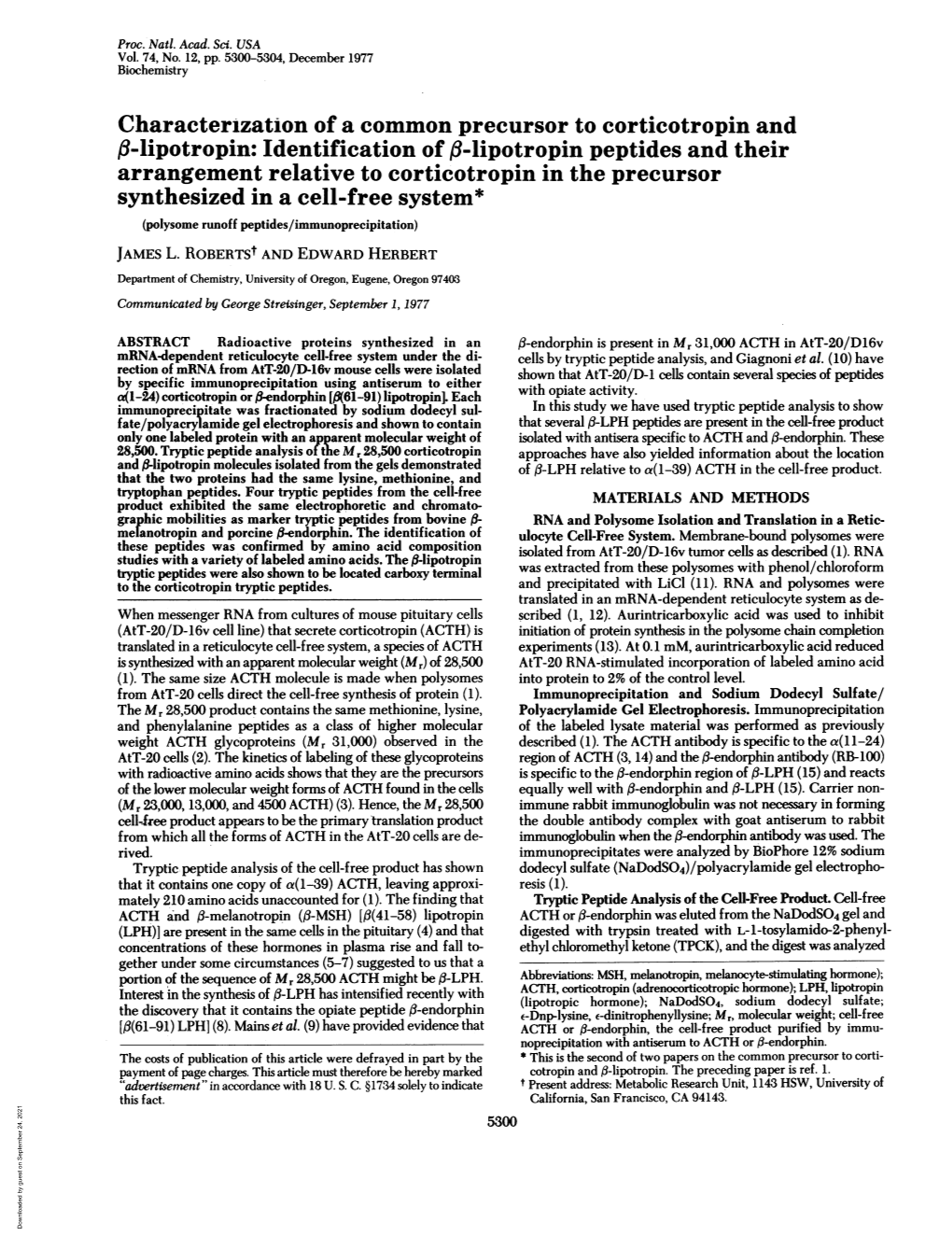 Identification Off-Lipotropin Peptides and Their Arra