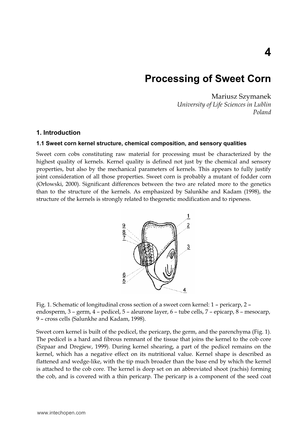 Processing of Sweet Corn