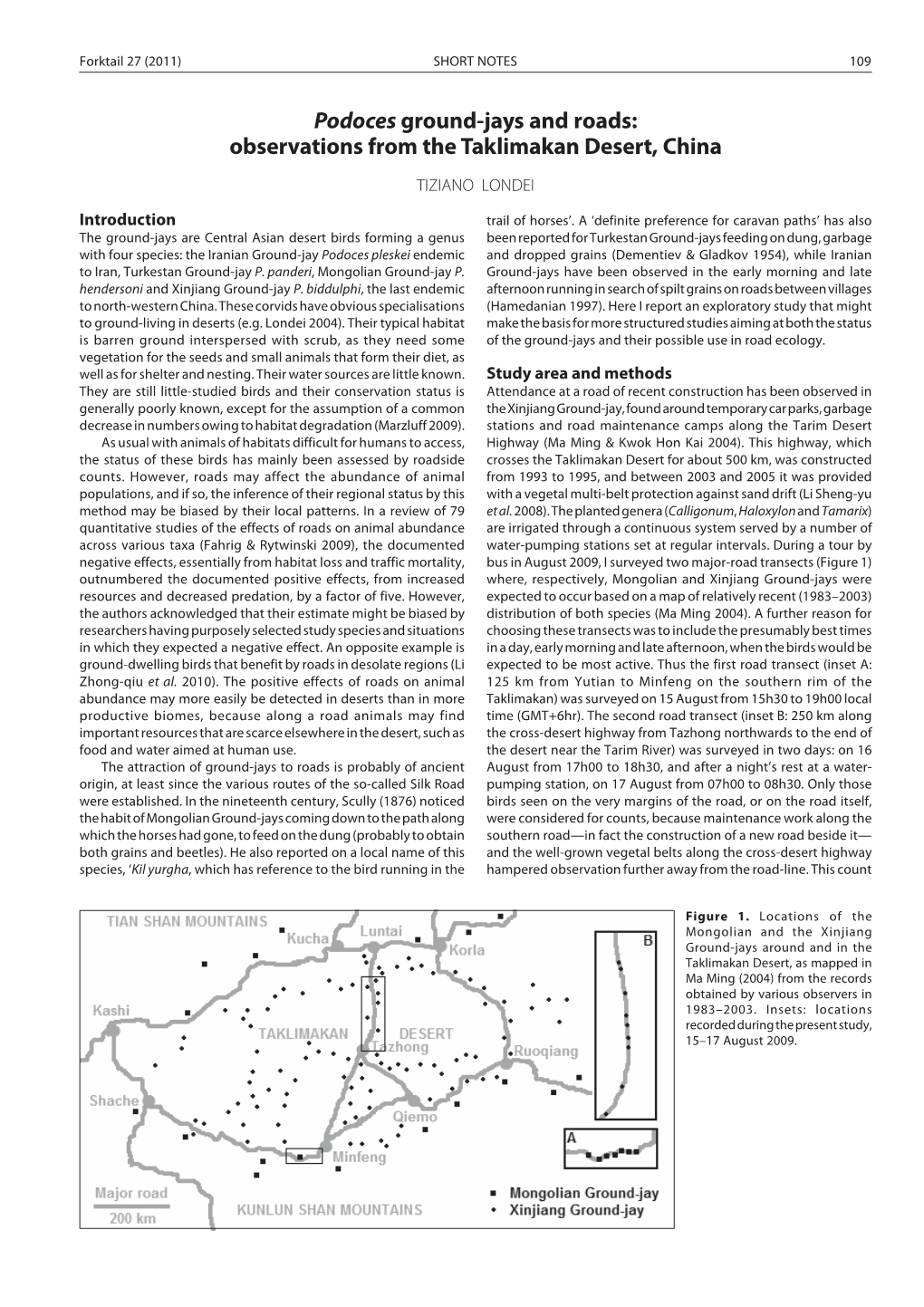 Podoces Ground-Jays and Roads: Observations from the Taklimakan Desert, China