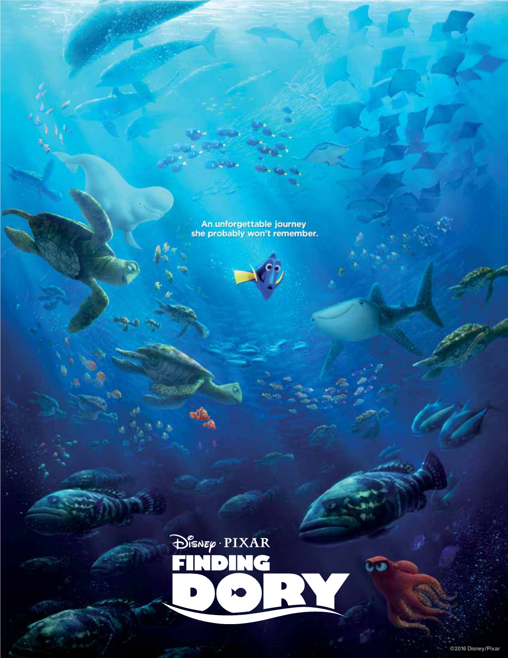 Findingdory5757c7816df94.Pdf