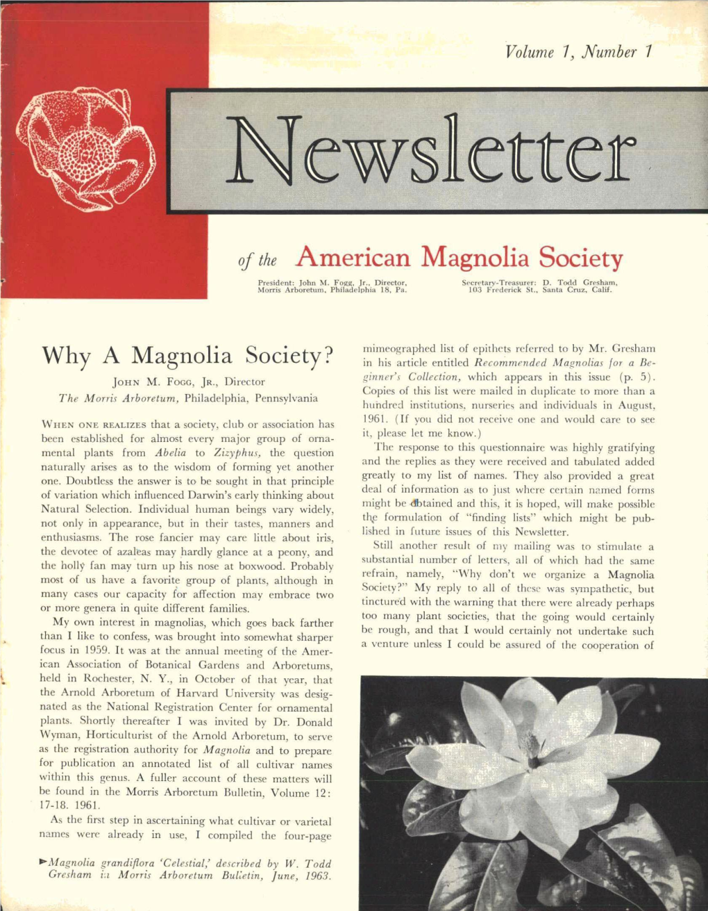 American Magnolia Society