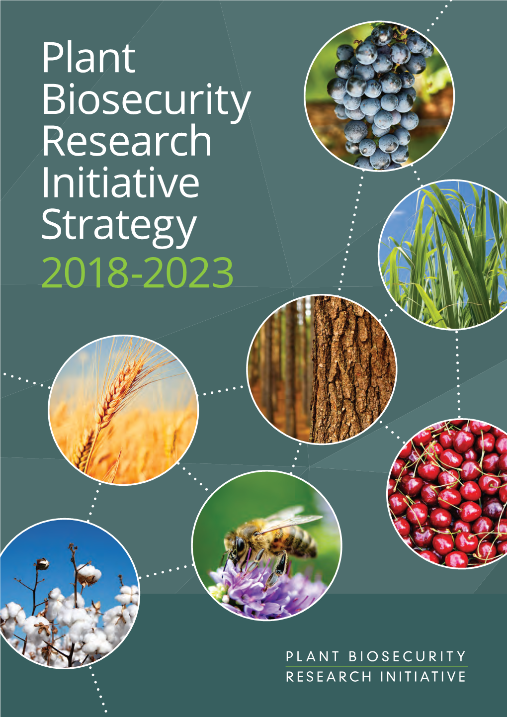 PBRI Strategy 2018-23