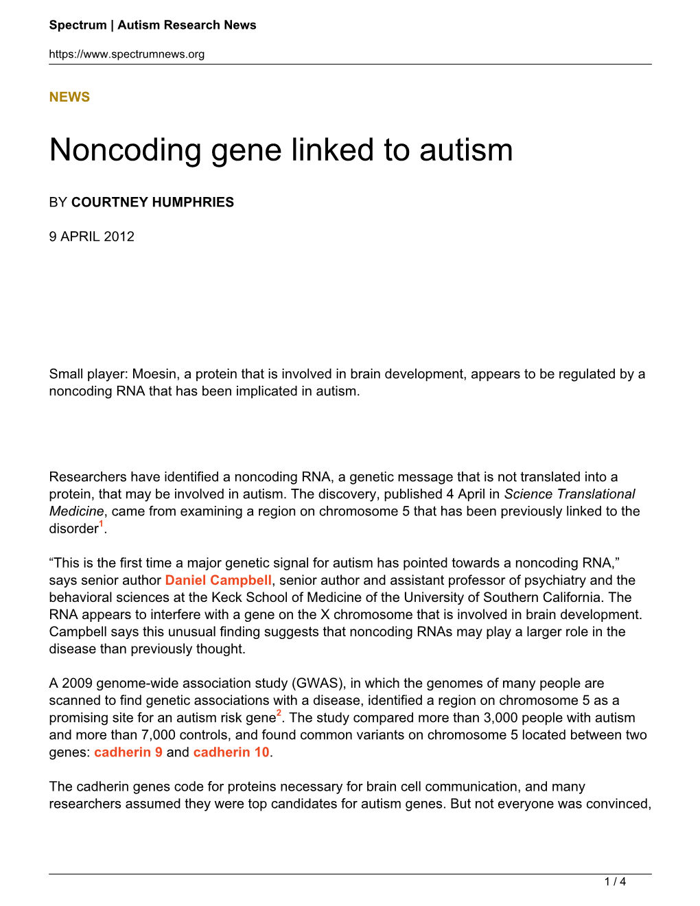 Noncoding Gene Linked to Autism