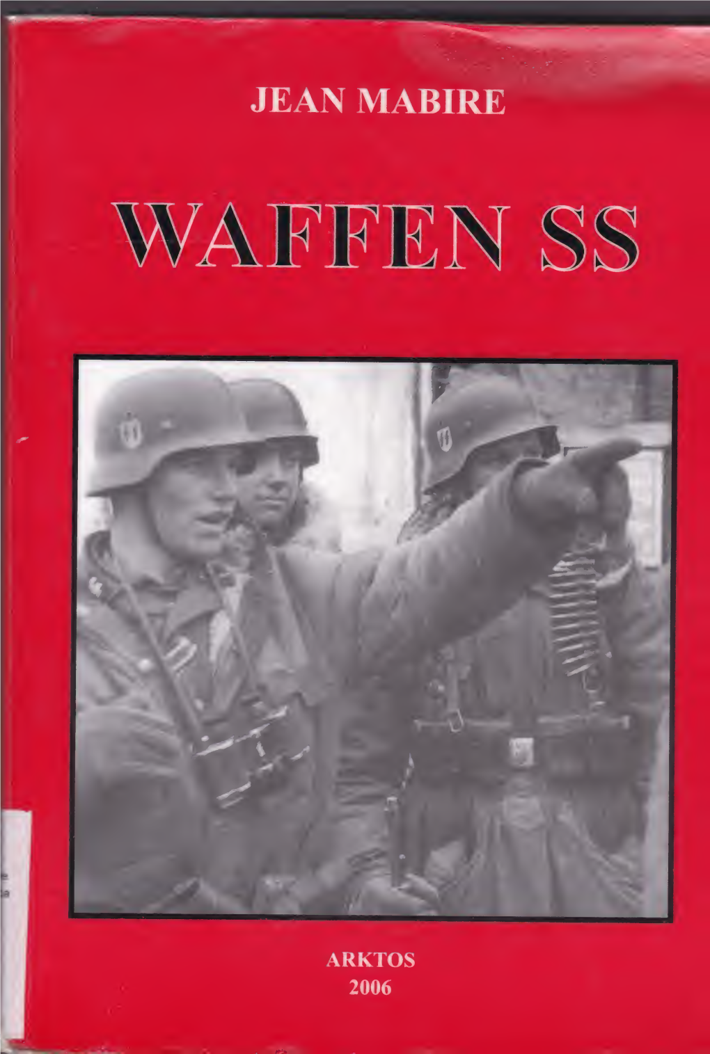 Waffen SS, Le Forze Armate Delfordine Nero