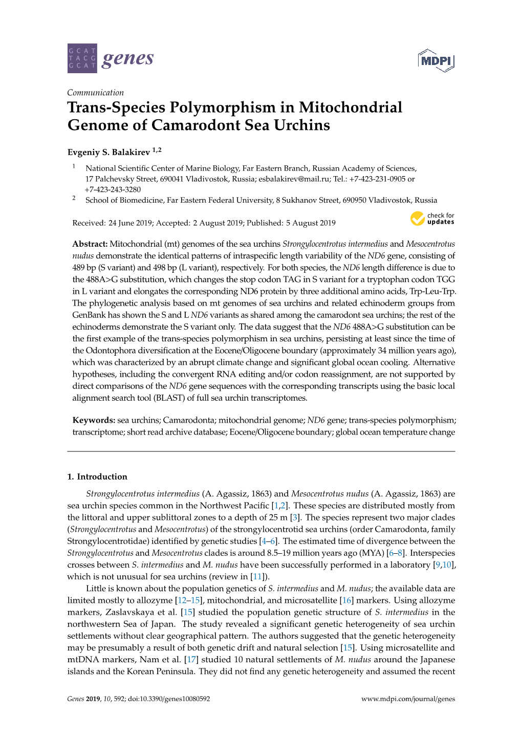 Trans-Species Polymorphism in Mitochondrial Genome of Camarodont Sea Urchins