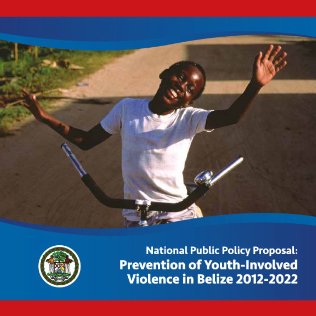 Prevention of Youth-Involved Violence in Belize 2012-2022