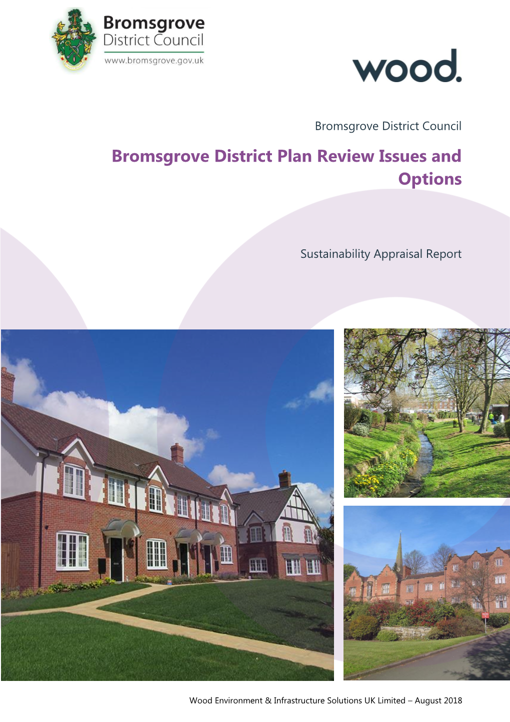 Bromsgrove District Plan Review Issues and Options