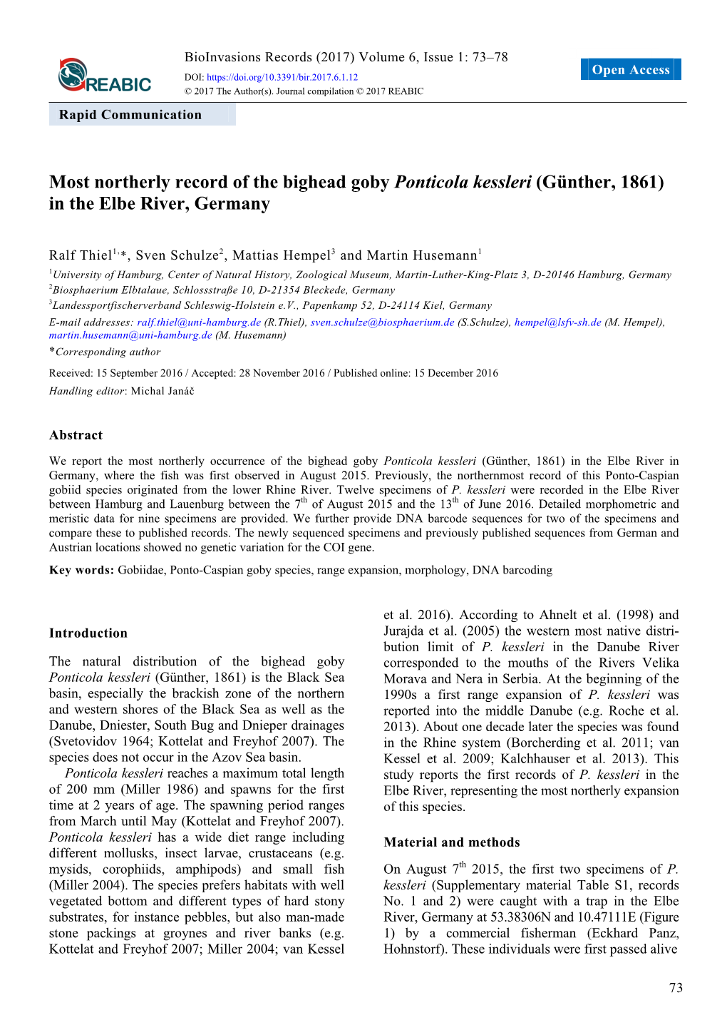 Most Northerly Record of the Bighead Goby Ponticola Kessleri (Günther, 1861) in the Elbe River, Germany