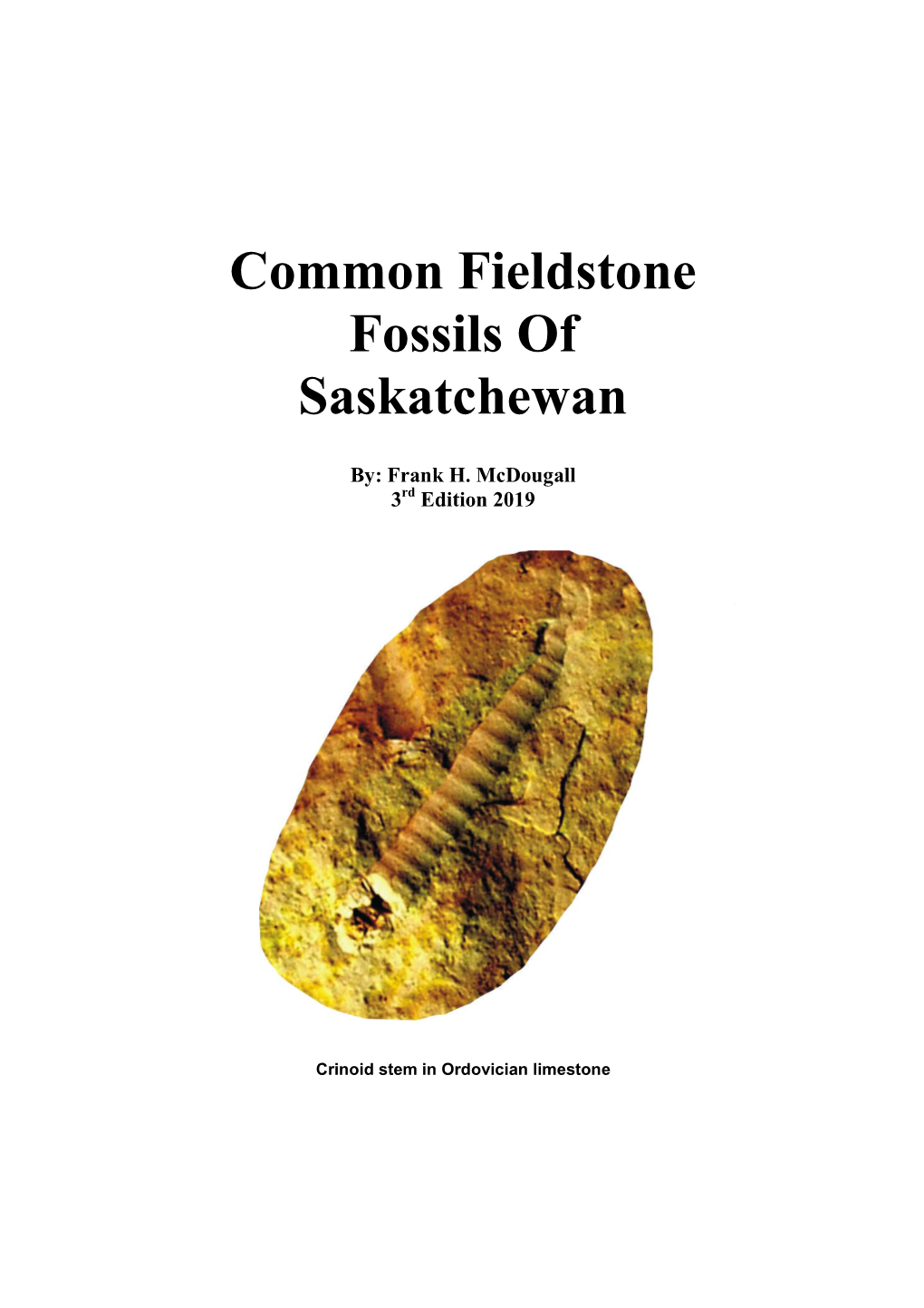 Common Fieldstone Fossils of Saskatchewan