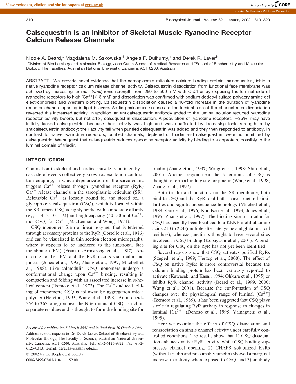 Calsequestrin Is an Inhibitor of Skeletal Muscle Ryanodine Receptor Calcium Release Channels