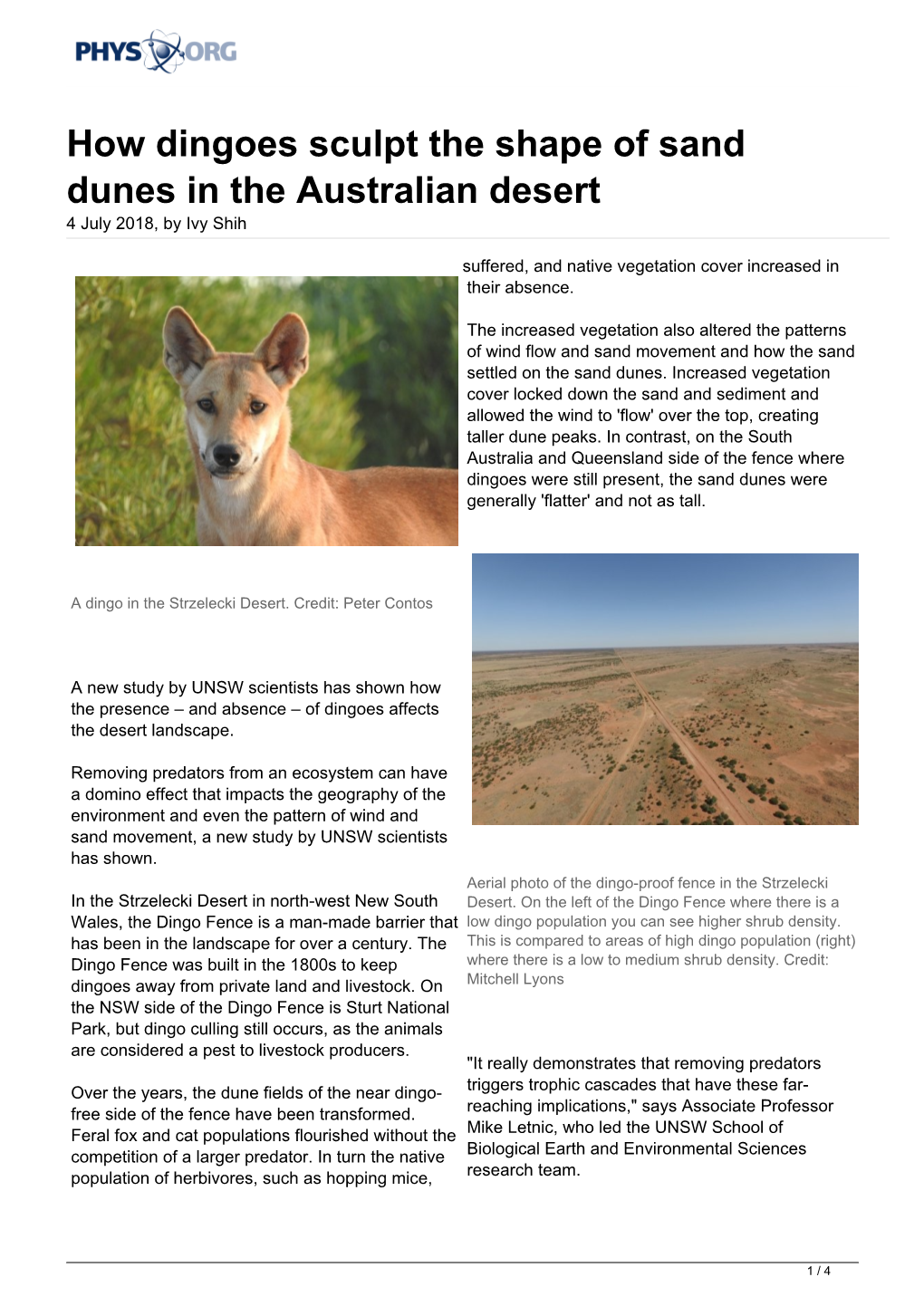 How Dingoes Sculpt the Shape of Sand Dunes in the Australian Desert 4 July 2018, by Ivy Shih