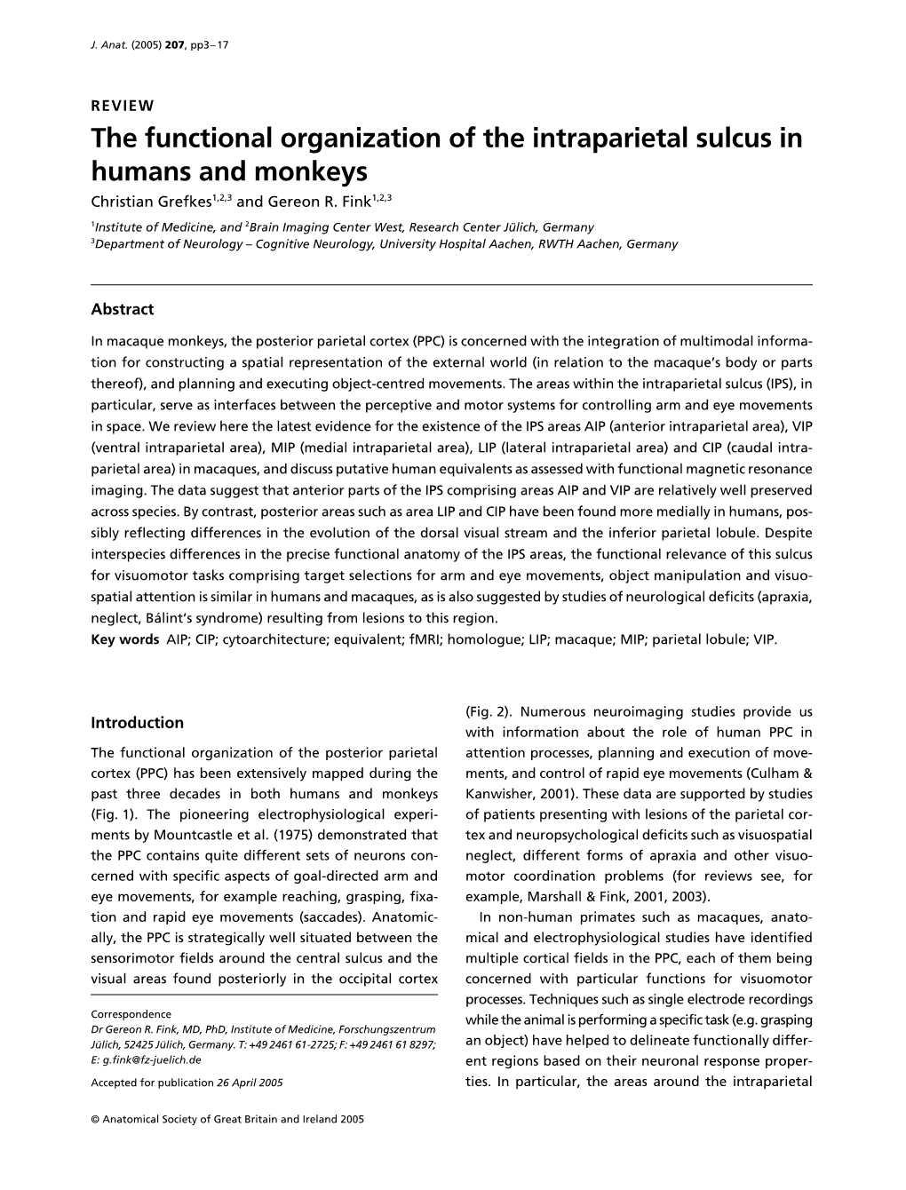 The Functional Organization of the Intraparietal Sulcus in Humans and Monkeys Christian Grefkes1,2,3 and Gereon R