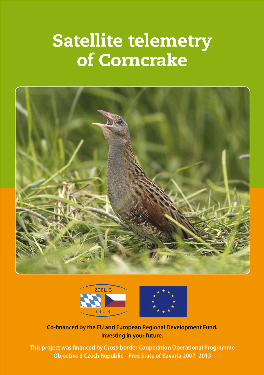 Satellite Telemetry of Corncrake