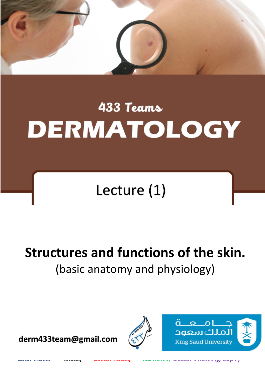 Dermis (Ectoderm), Basement Membrane, Dermis (Mesoderm), Subcutaneous Fat and Skin Appendages (Ectoderm and Mesoderm)