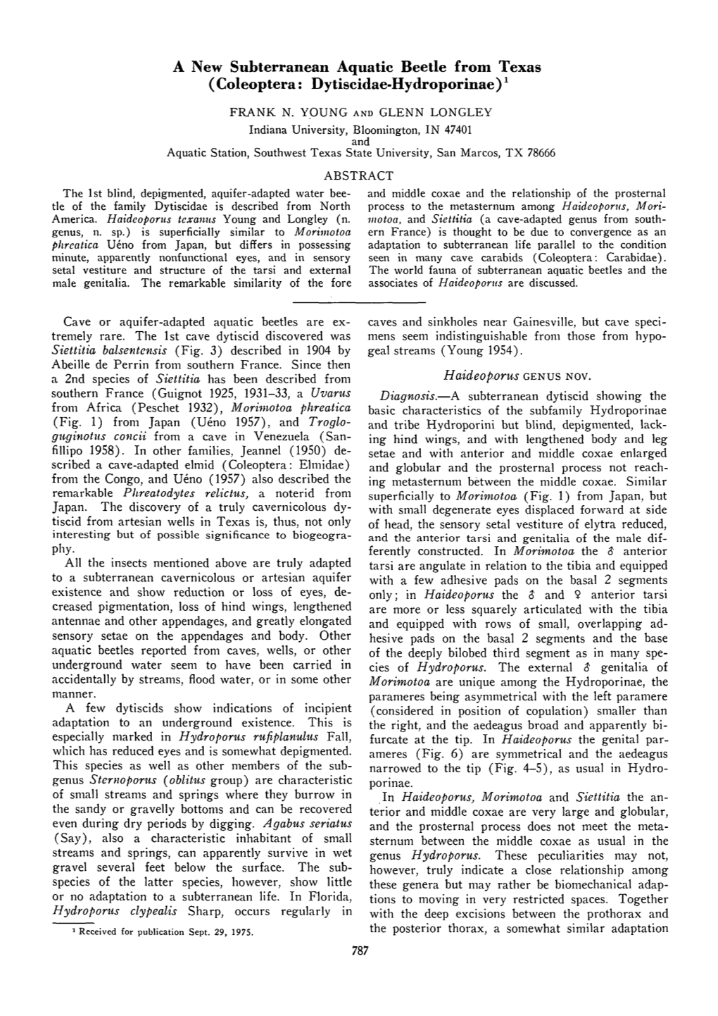 A New Subterranean Aquatic Beetle from Texas ( Coleoptera: Dytiscidae-Hydroporinae )X