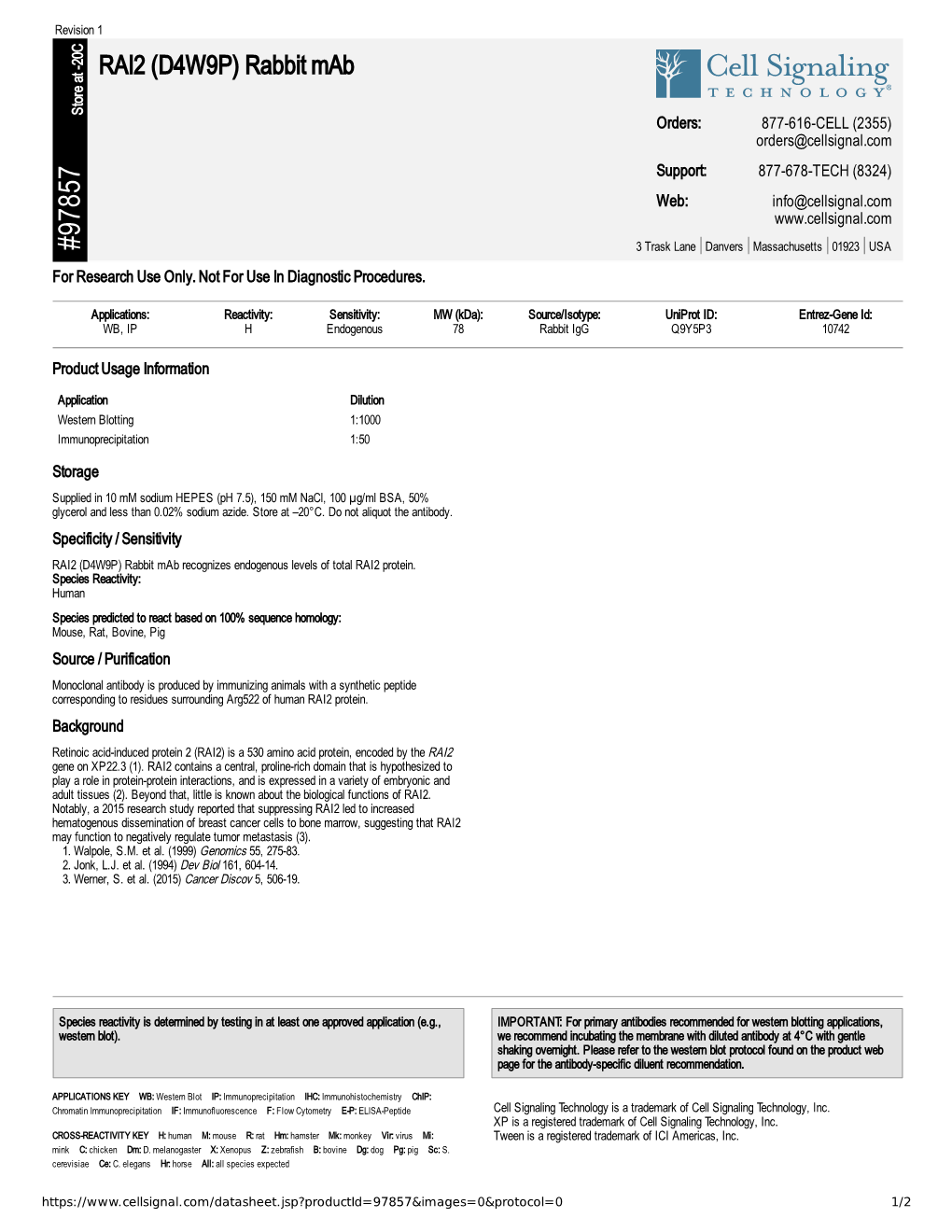 97857 RAI2 (D4W9P) Rabbit Mab