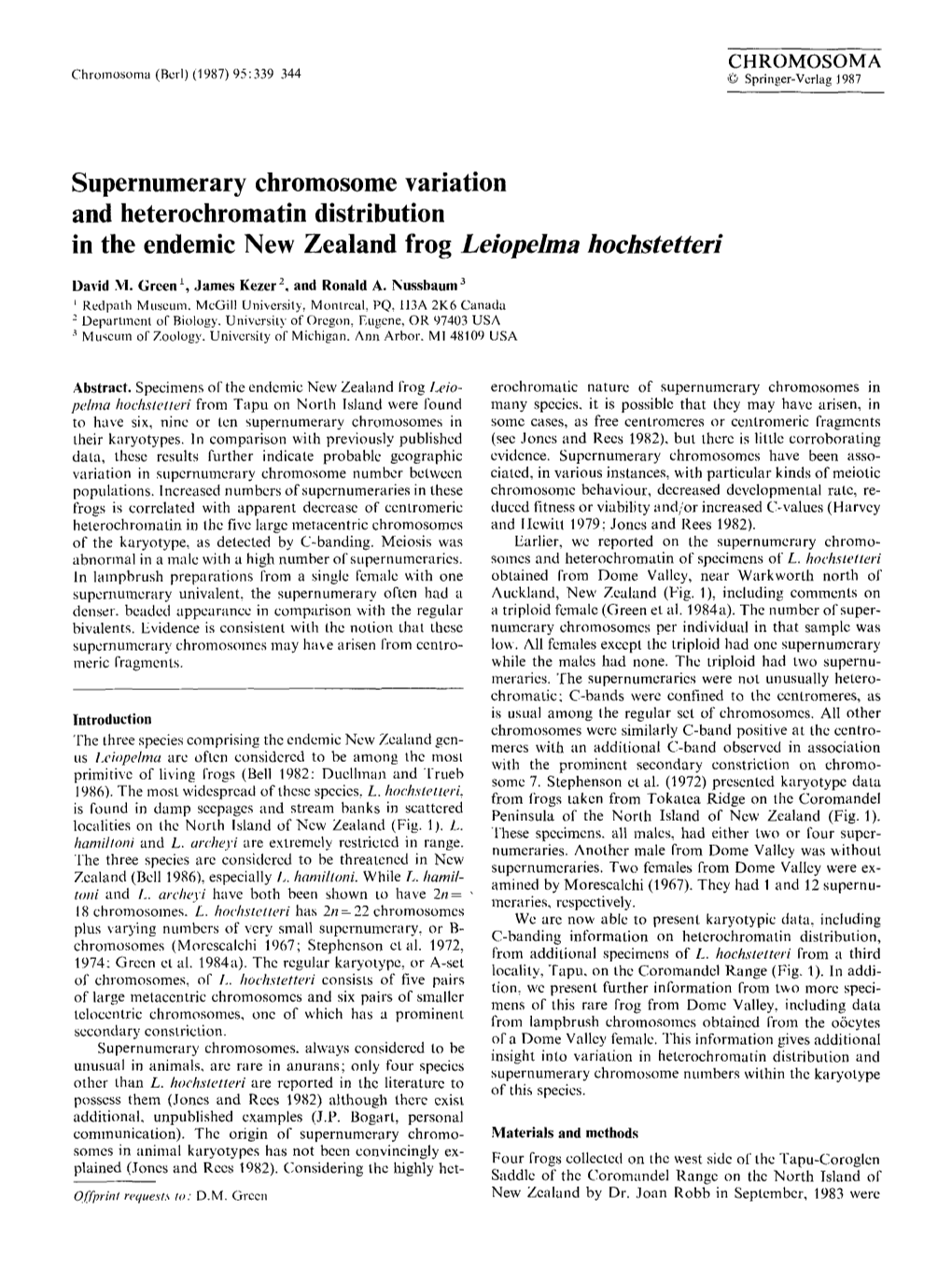 Supernumerary Chromosome Variation and Heterochromatin Distribution in the Endemic New Zealand Frog Leiopelma Hochstetteri