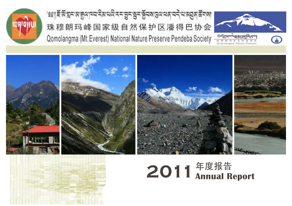 Annual Report 2011