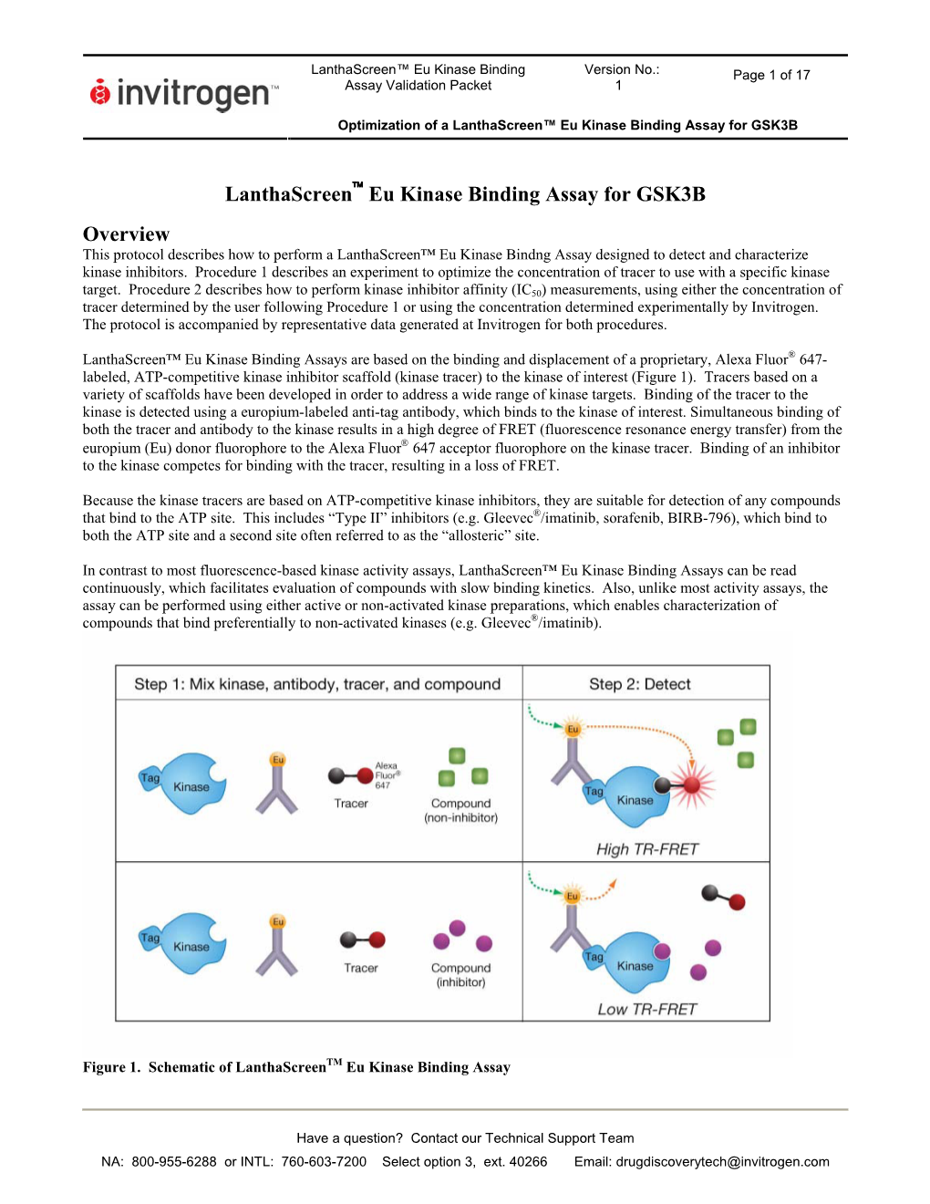 Lanthascreen Eu Kinase Binding Assay for GSK3B Overview