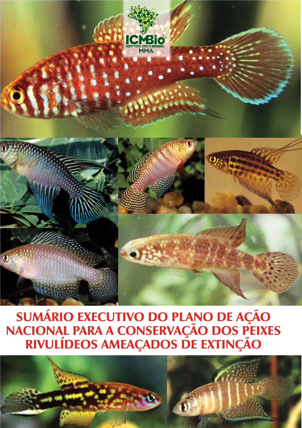 Sumário Executivo Do Plano De Ação Nacional Para a Conservação Dos Peixes Rivulídeos Ameaçados De Extinção