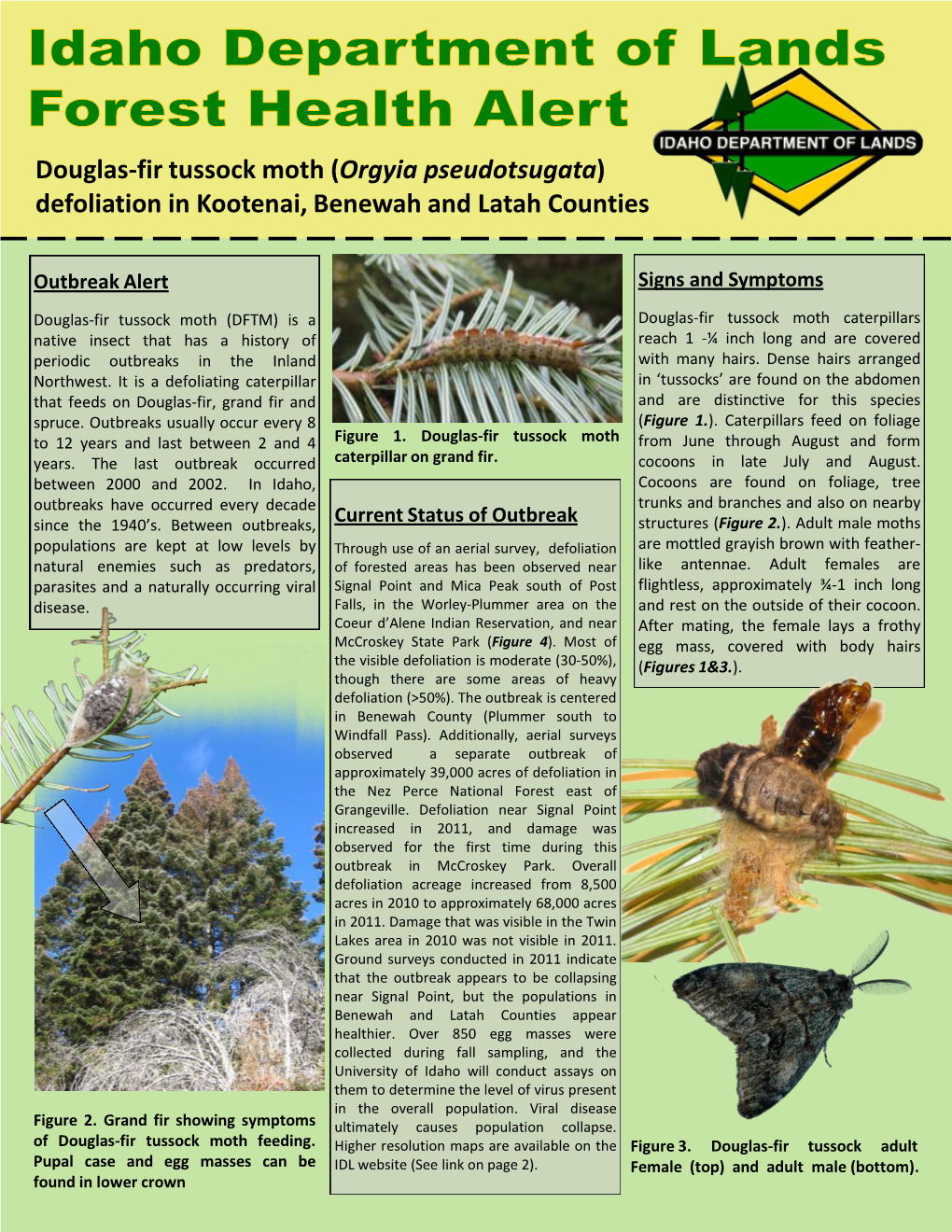 Douglas-Fir Tussock Moth (Orgyia Pseudotsugata) Defoliation in Kootenai, Benewah and Latah Counties