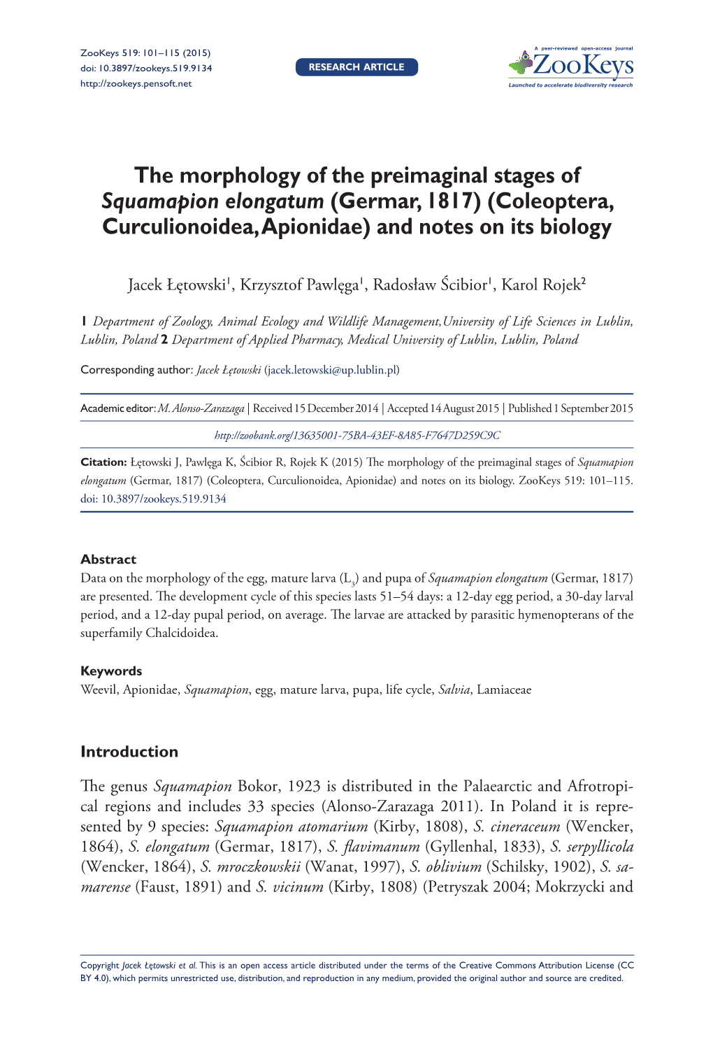 Coleoptera, Curculionoidea, Apionidae) and Notes on Its Biology