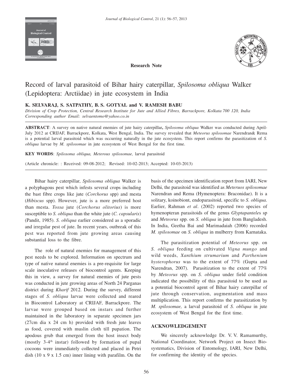 Record of Larval Parasitoid of Bihar Hairy Caterpillar, Spilosoma Obliqua Walker (Lepidoptera: Arctiidae) in Jute Ecosystem in India