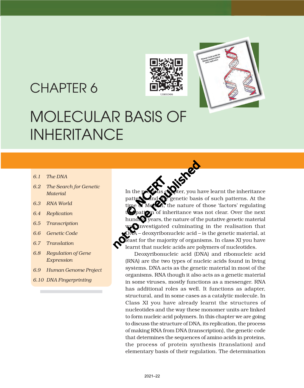 Molecular Basis of Inheritance