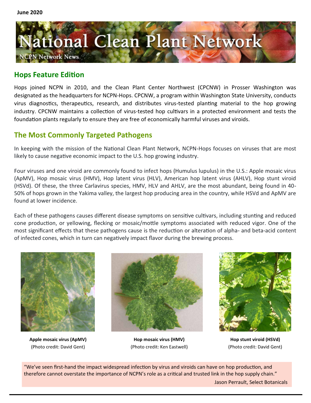 June 2020 NCPN-Hops Newsletter