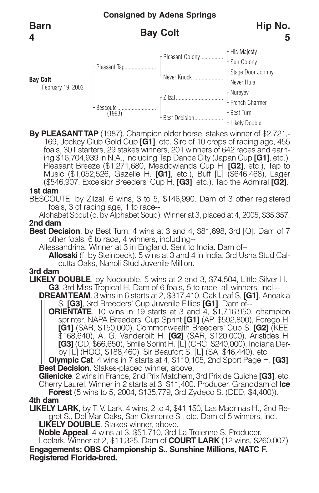 Bay Colt Barn 4 Hip No. 5