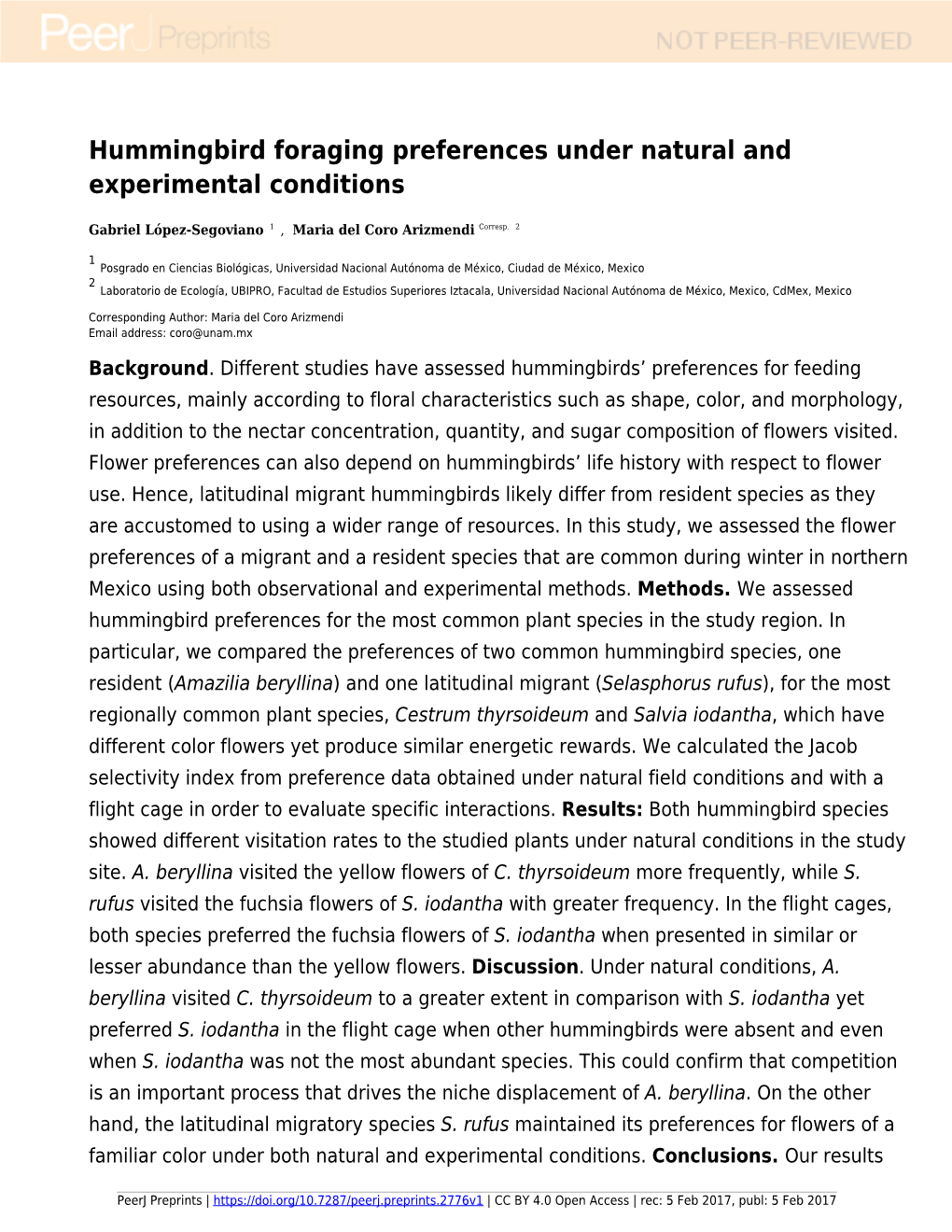 Hummingbird Foraging Preferences Under Natural and Experimental Conditions