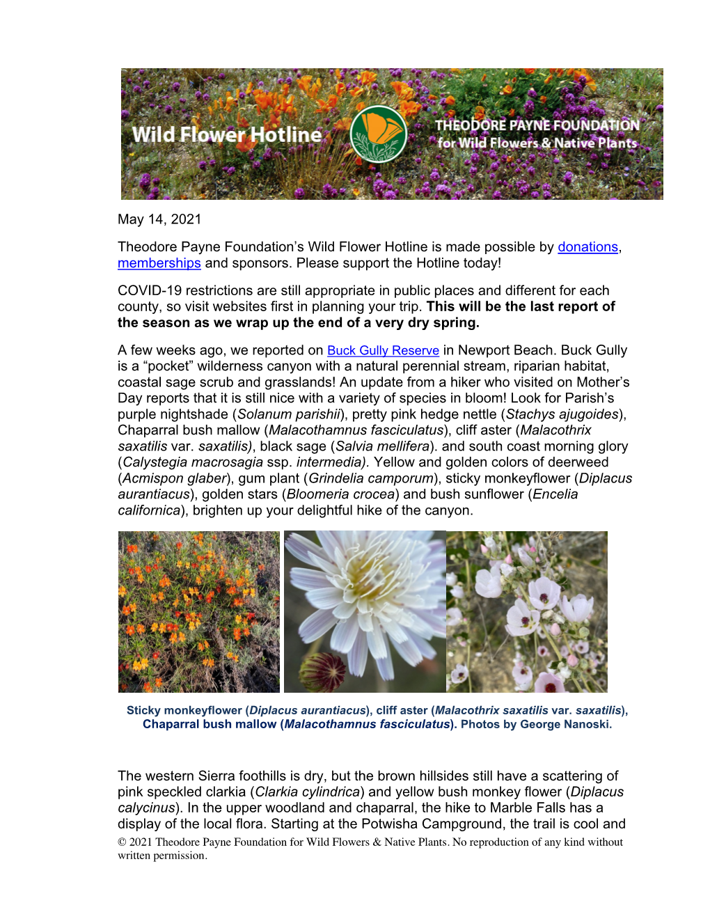 May 14, 2021 Theodore Payne Foundation's Wild Flower Hotline Is