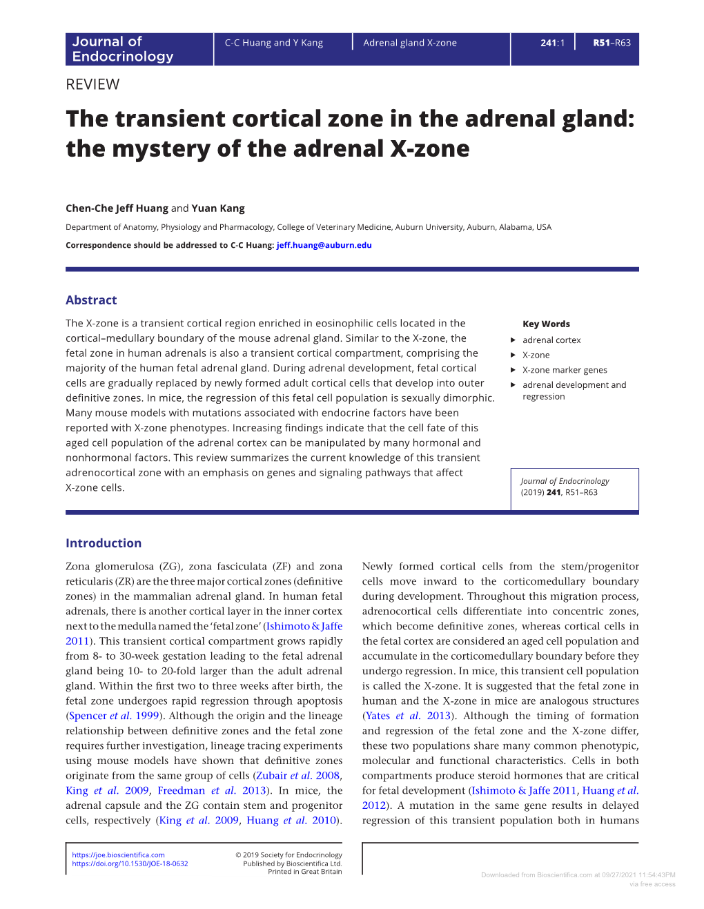 The Transient Cortical Zone in the Adrenal Gland: the Mystery of the Adrenal X-Zone