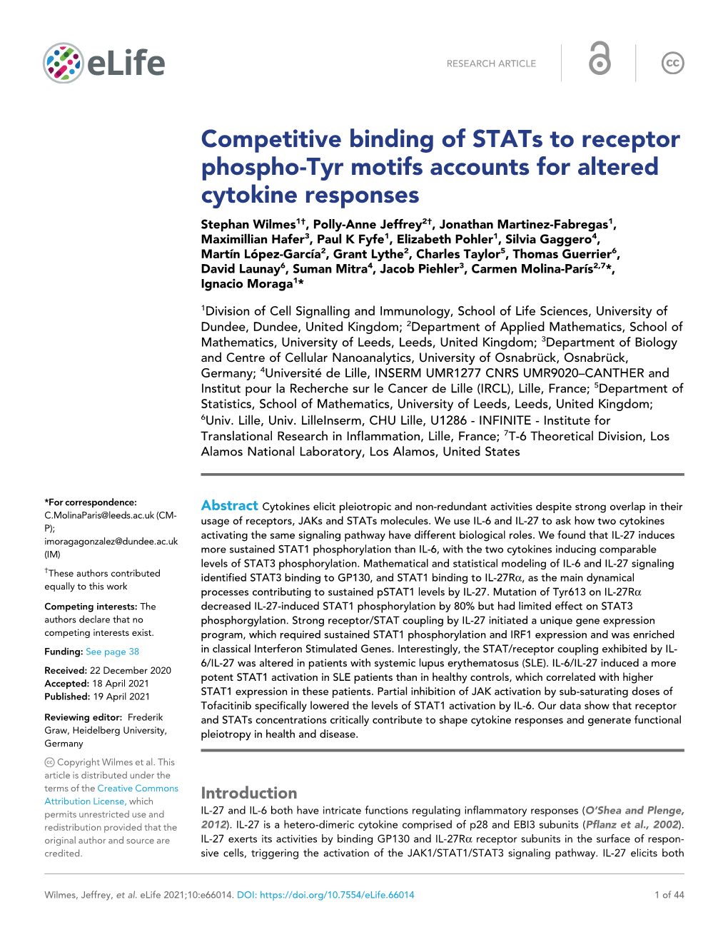 Competitive Binding of Stats to Receptor Phospho-Tyr Motifs