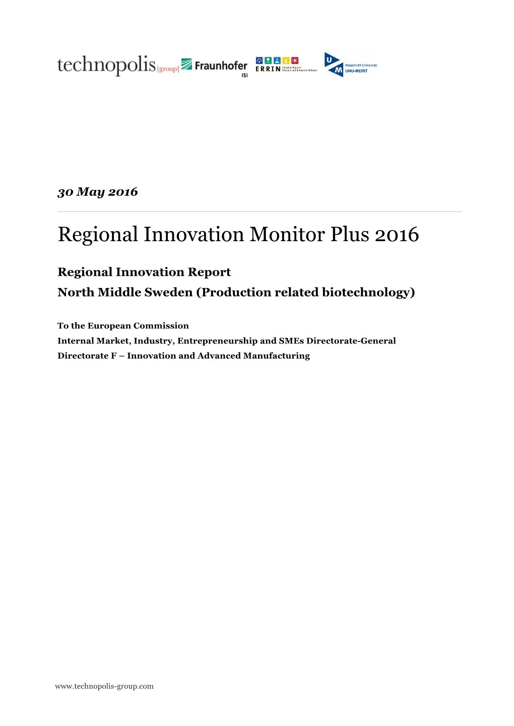 Regional Innovation Monitor Plus 2016