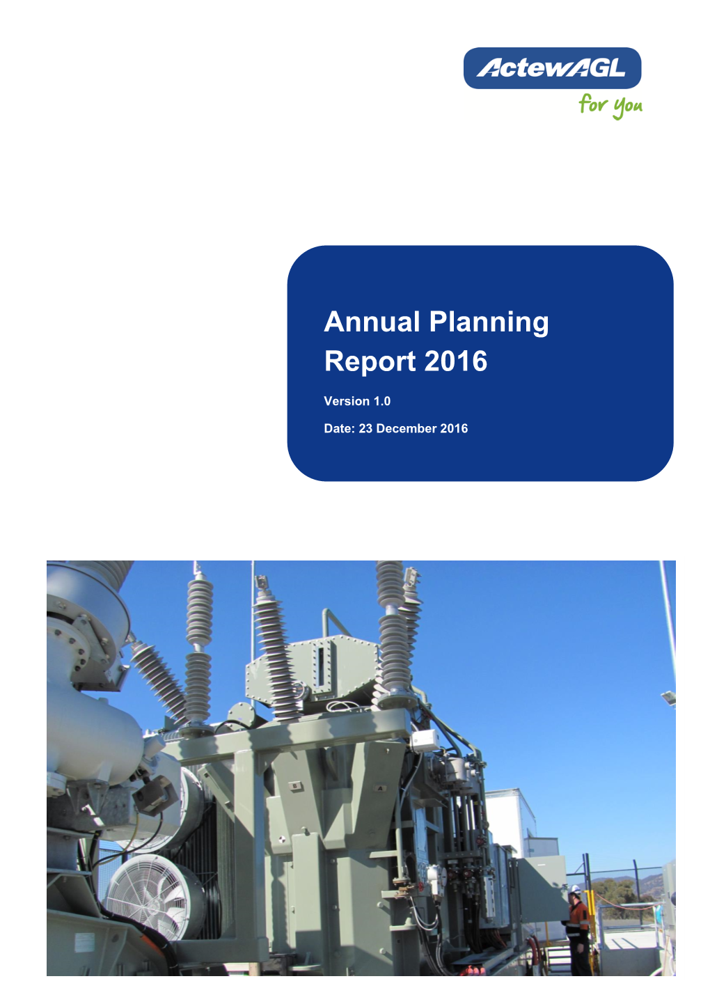 Annual Planning Report 2016