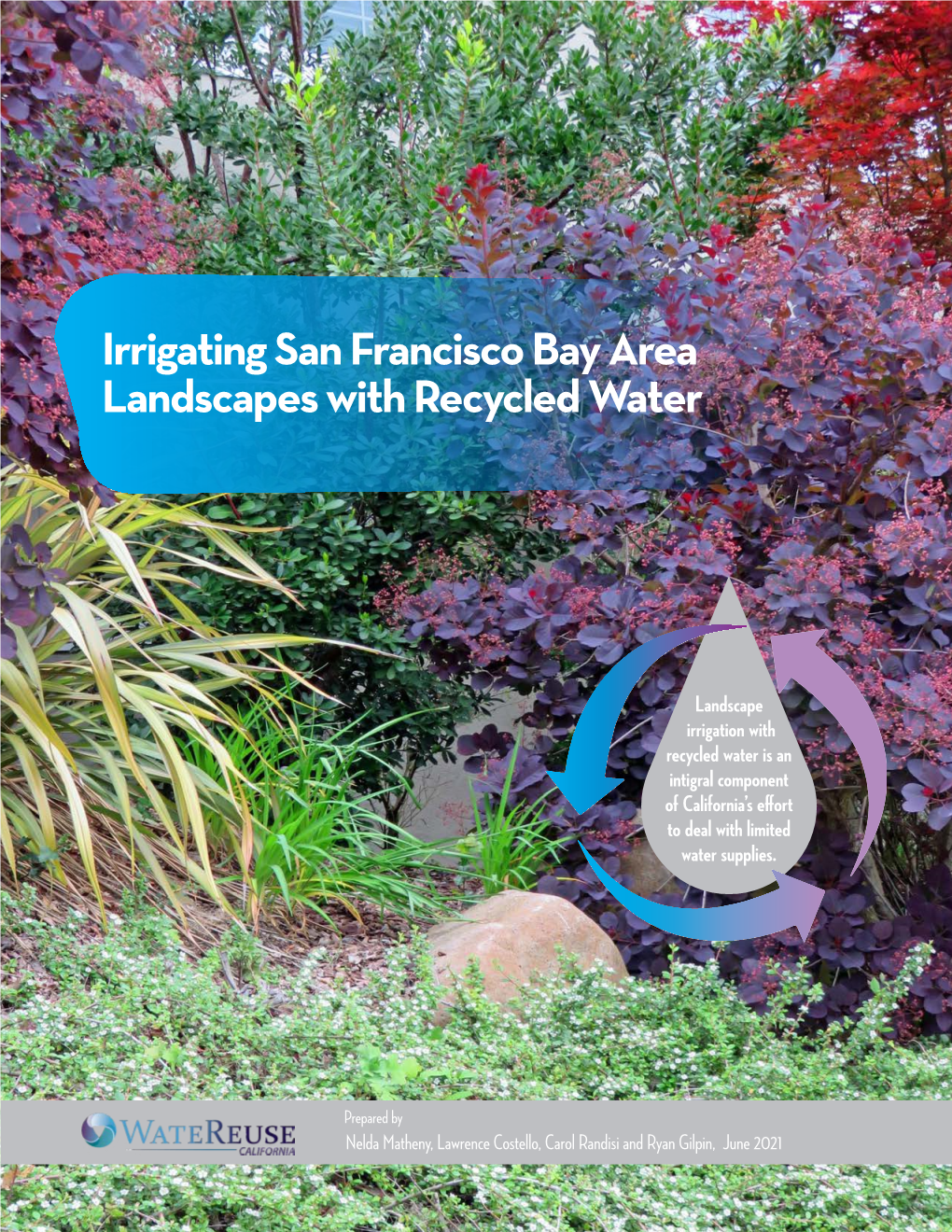 Irrigating San Francisco Bay Area Landscapes with Recycled Water