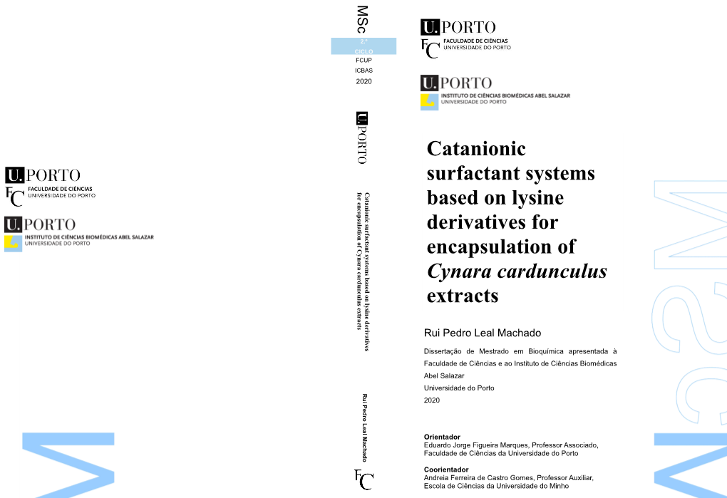 Catanionic Surfactant Systems Based on Lysine Derivatives For