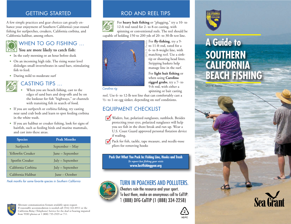 A Guide to Southern California Beach Fishing