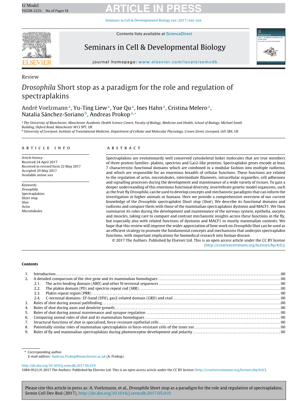 Drosophila Short Stop As a Paradigm for the Role and Regulation of Spectraplakins