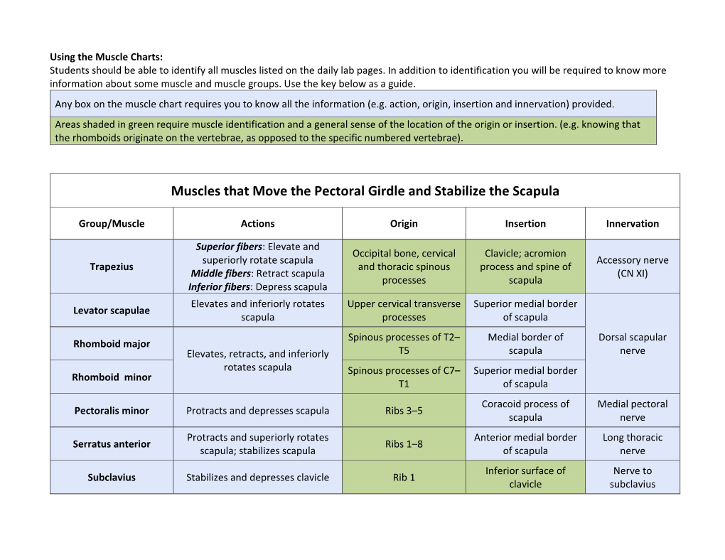 Muscle Charts: Students Should Be Able to Identify All Muscles Listed on the Daily Lab Pages